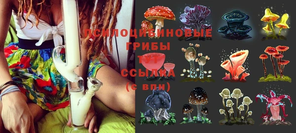 хмурый Елабуга