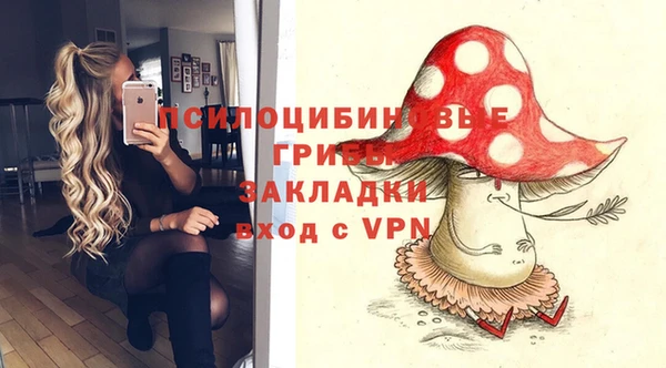 первитин Дмитров